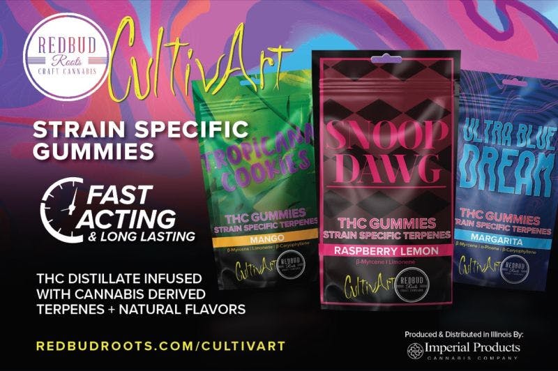 Experience the Best of Mango and Tropicana Cookies with CultivArt Gummies 100mg