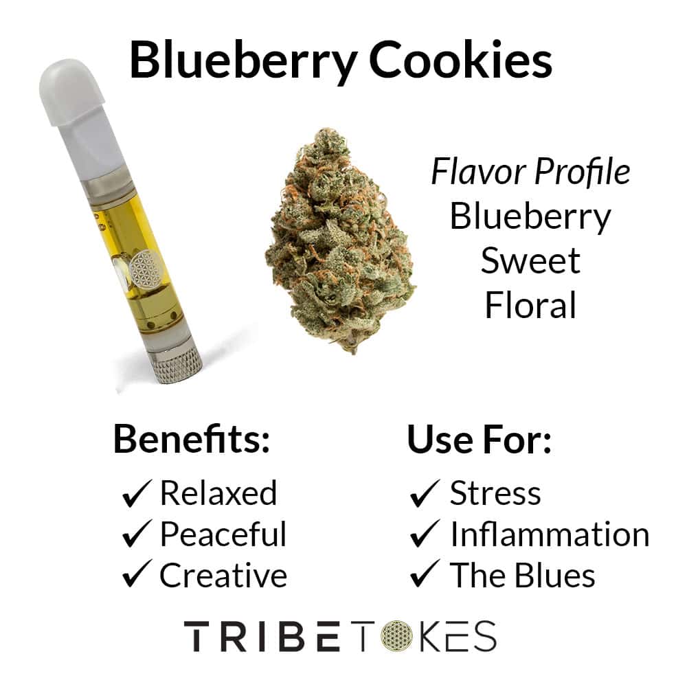 Exploring Cookies THCA: Top Products and Their Effects