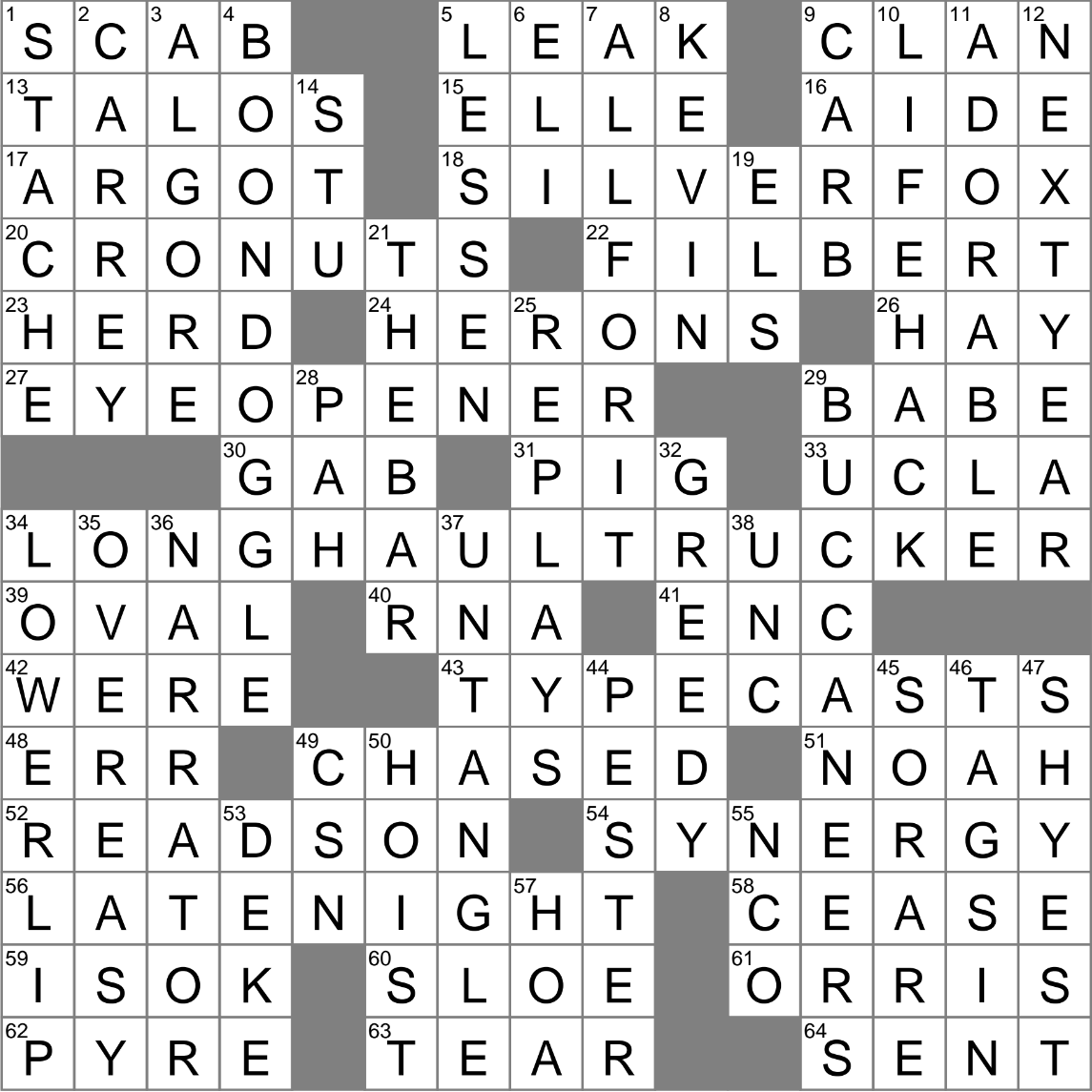 What is the Informal Answer to Soup Strainer in Crossword Puzzles?