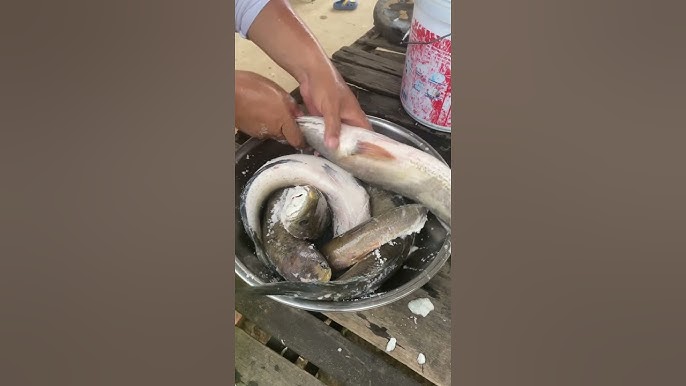 Smart Way:  Using Salt Water to Clean Seafood Perfectly