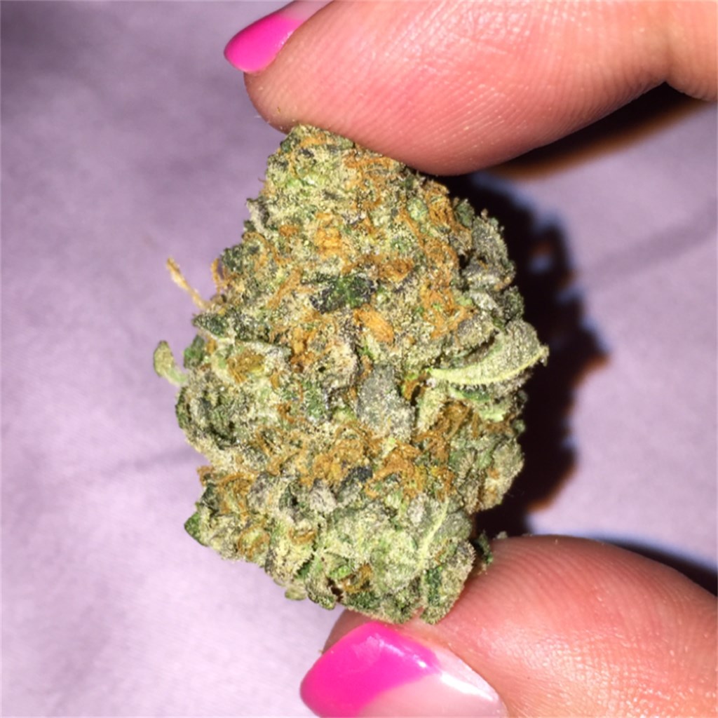 Pink Cookies Strain vs. Other Strains: Which One Is for You?