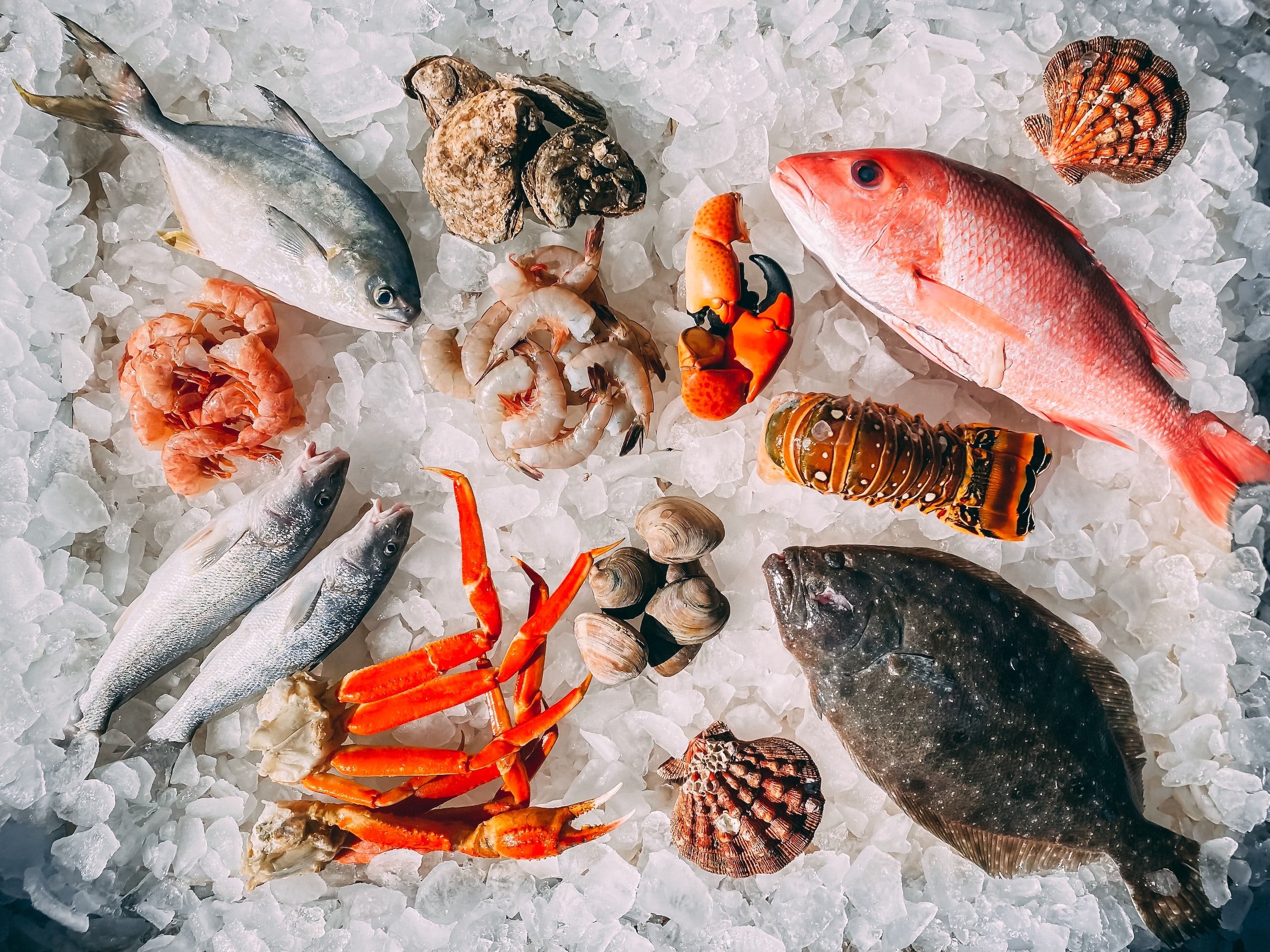 The Hunt for the Best Seafood on the East Coast (Our Top Picks Revealed)