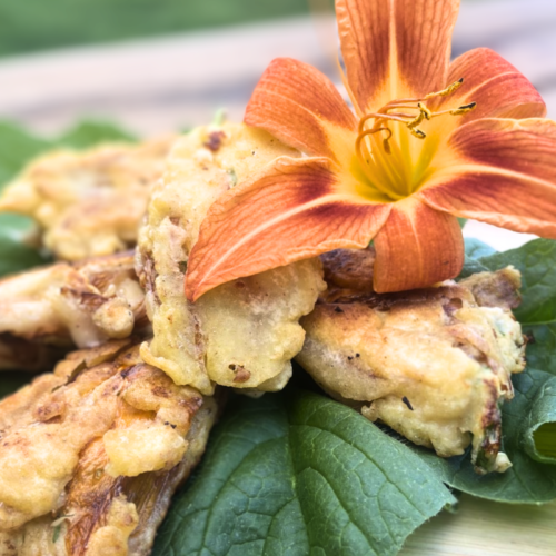 Daylily Fritter Recipe, A Simple Delicious Guide for Beginners