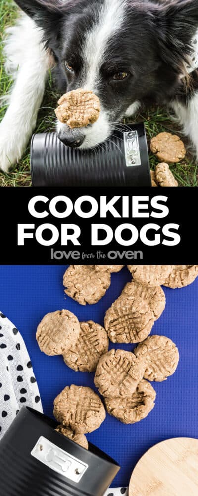 Cookie Dog Love: Baking Up Fun and Tasty Treats for Your Dog