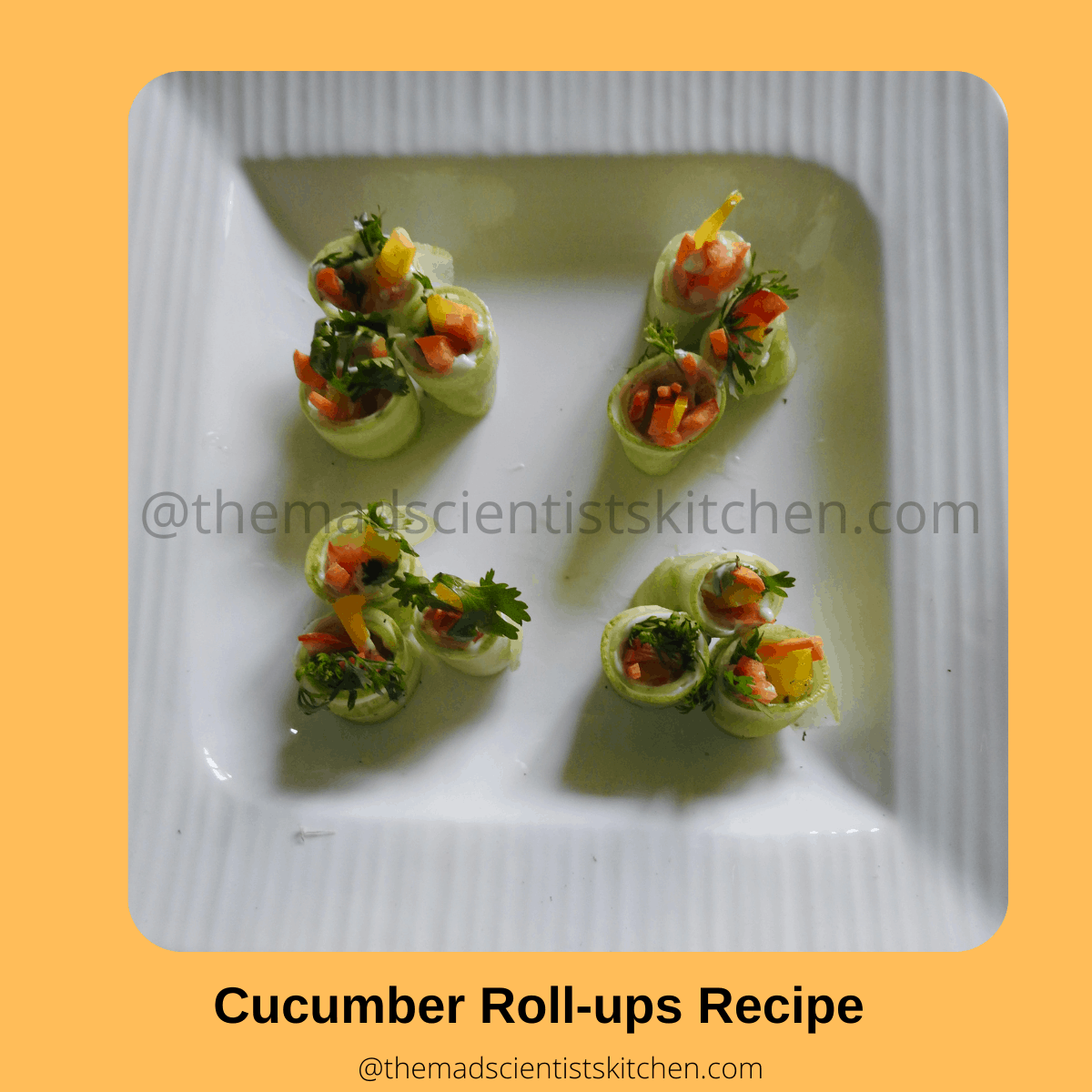 Yummy Sushi Appetizer Menu Ideas (Easy Starters to Wow Your Guests)