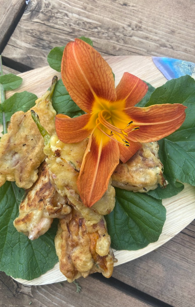 Daylily Fritter Recipe, A Simple Delicious Guide for Beginners