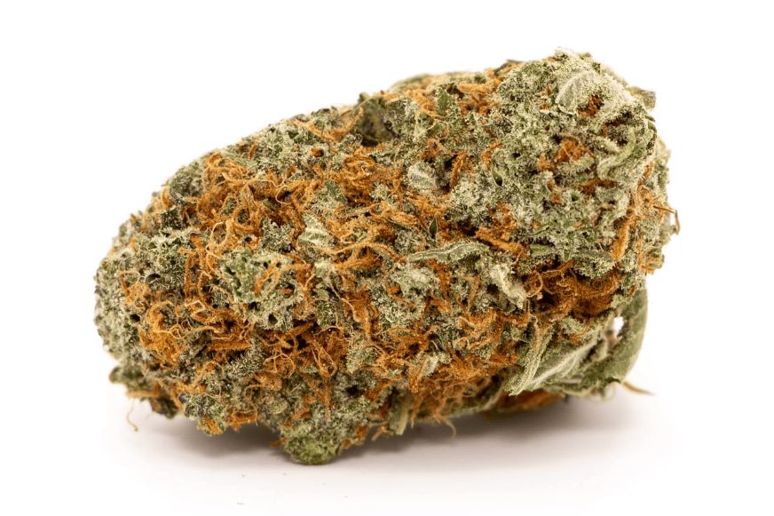 The Ultimate Guide to Orange Cookies x Zanimal Strain