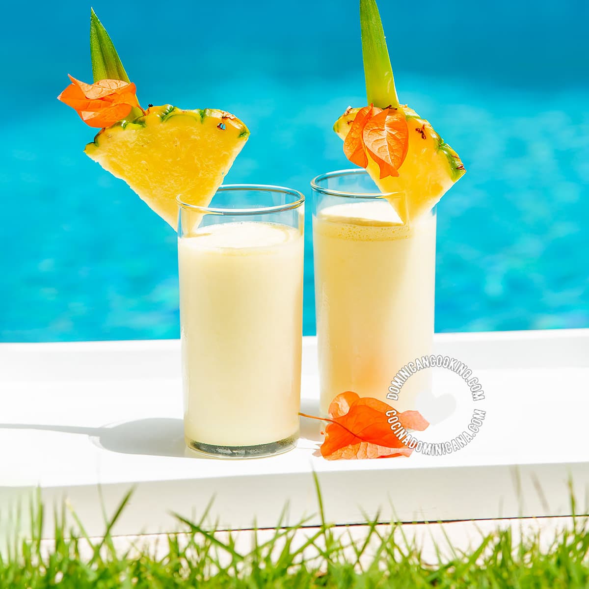 Dominican Beverages: Whats the Best Drink to Try on Your Vacation?