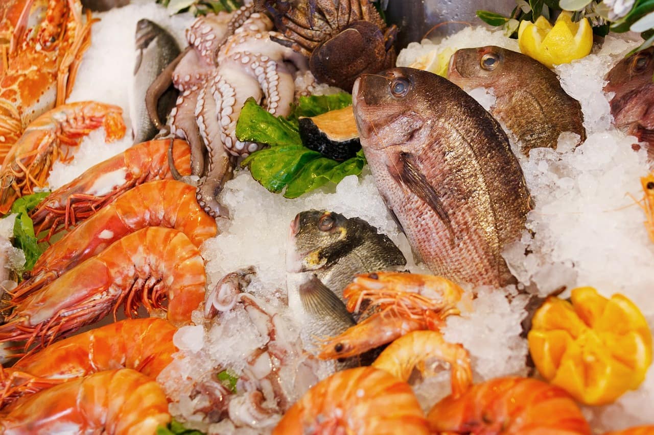 The Hunt for the Best Seafood on the East Coast (Our Top Picks Revealed)